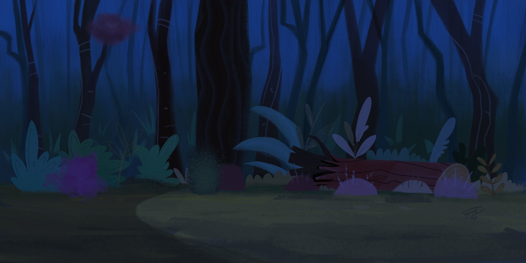 Forest background, night